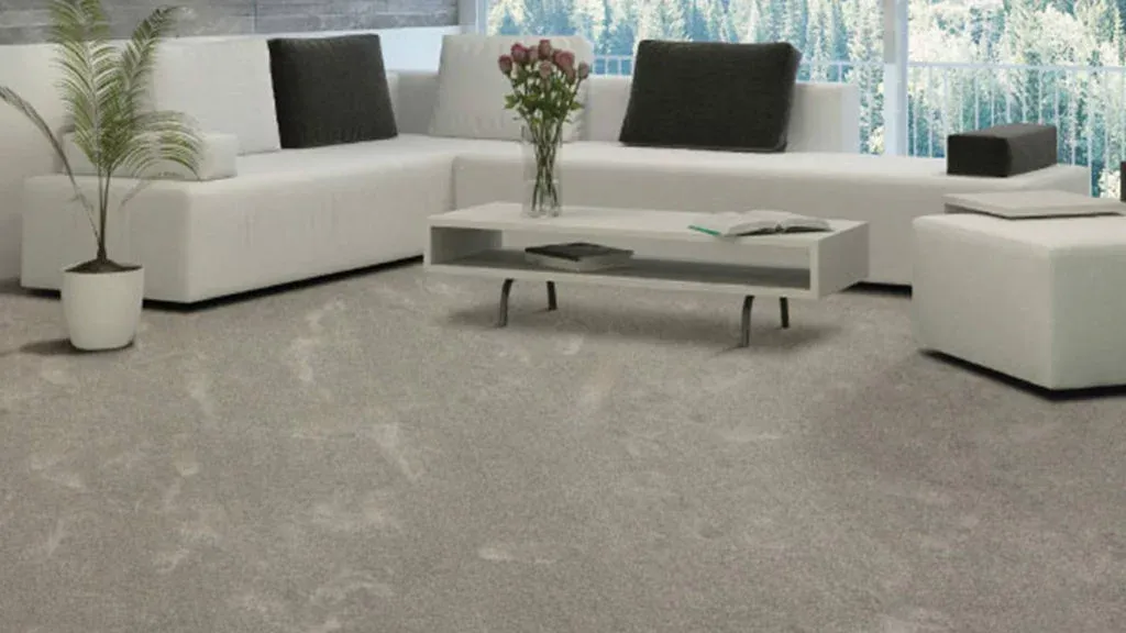 Carpet Luxurious Softness