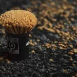 Terrain Carpet Tiles