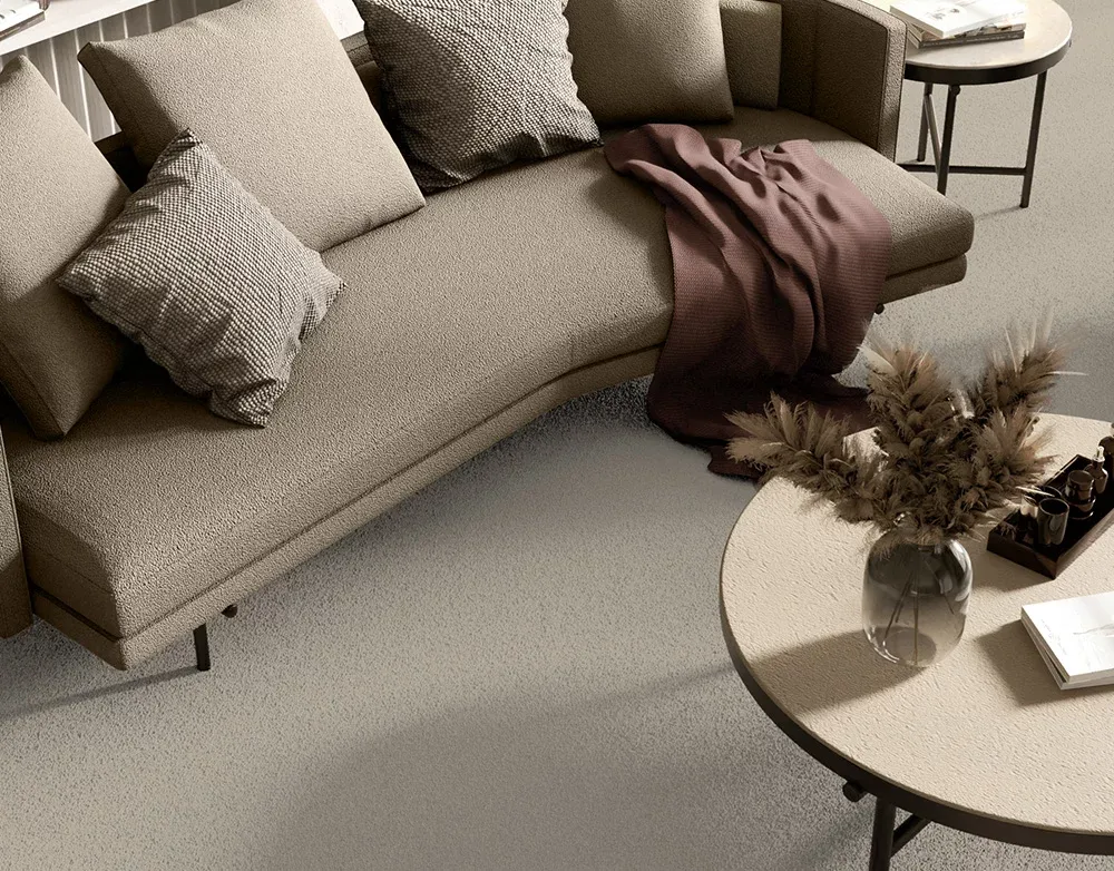 Featured-2 Softology Lite - Image 1