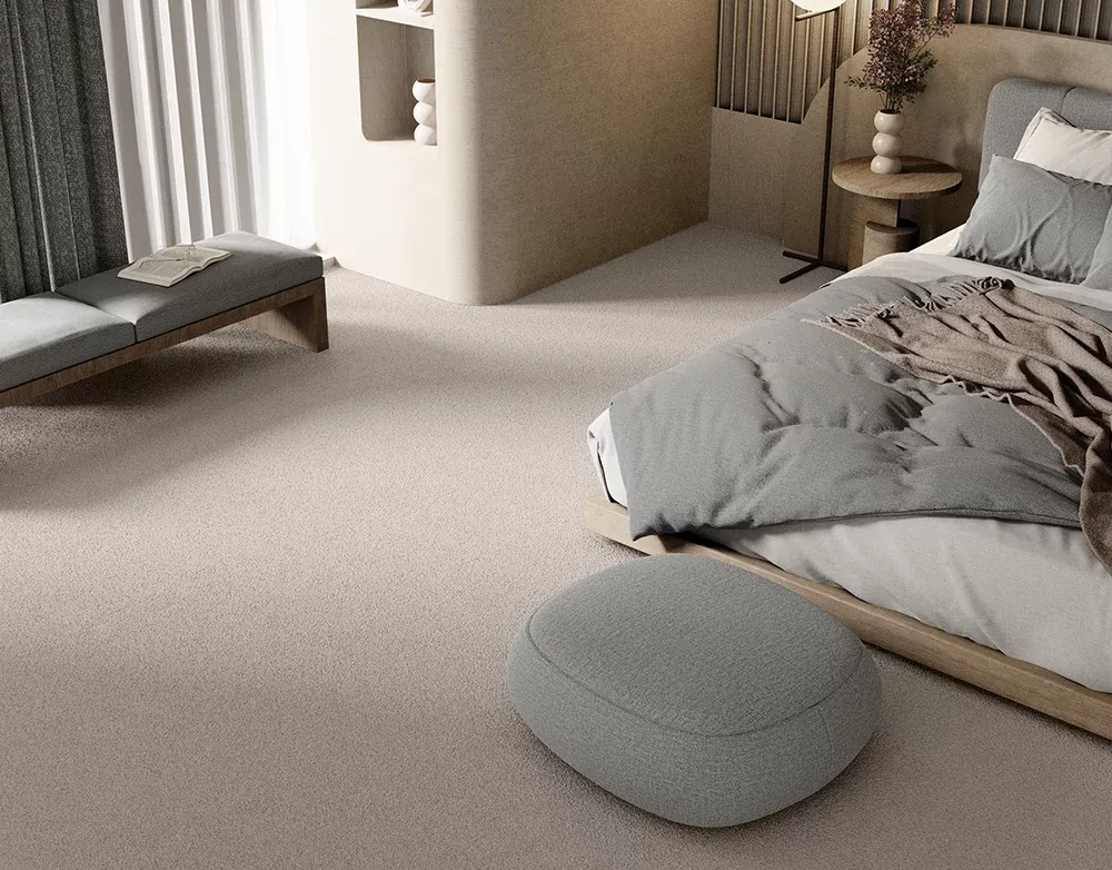 Featured-3 Softology Ultra - Image 1