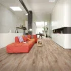 Vibrance Wide - Image 6